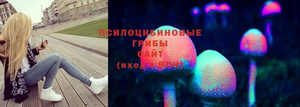 стафф Богородицк