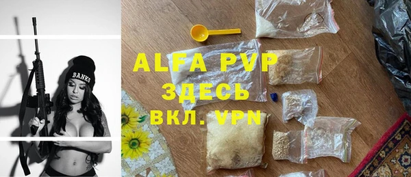 стафф Богородицк