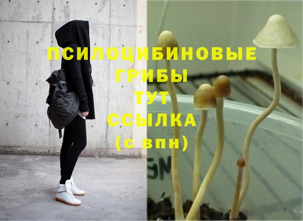 соль курить ск Богданович