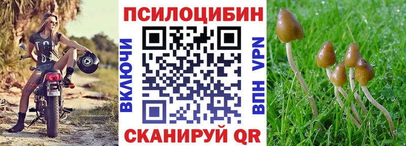 Псилоцибиновые грибы мицелий Верхняя Пышма