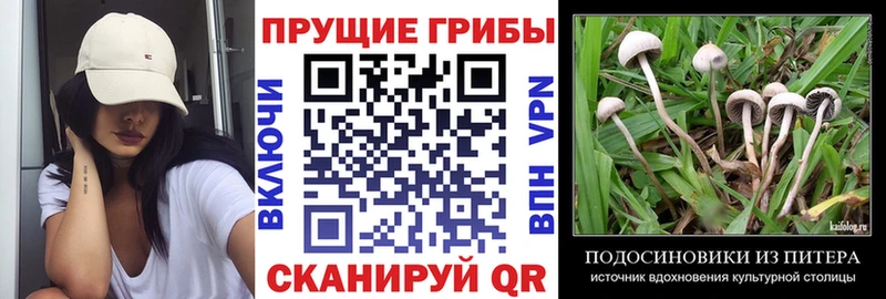 Галлюциногенные грибы мухоморы  Купить закладки  Верхняя Пышма 